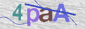 Image Anti-spam